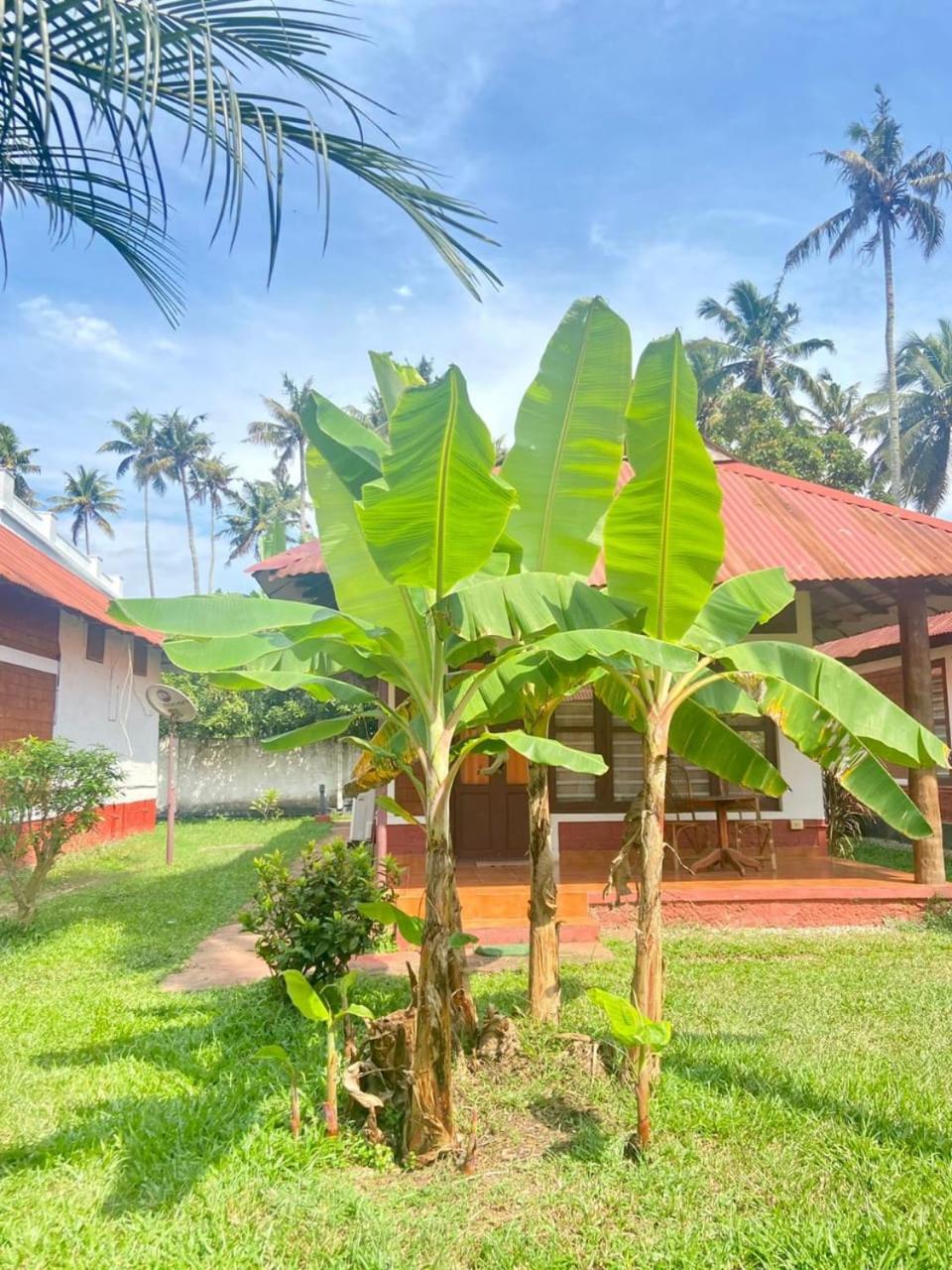 Hill View Ayurvedic Beach Resort Varkala Extérieur photo